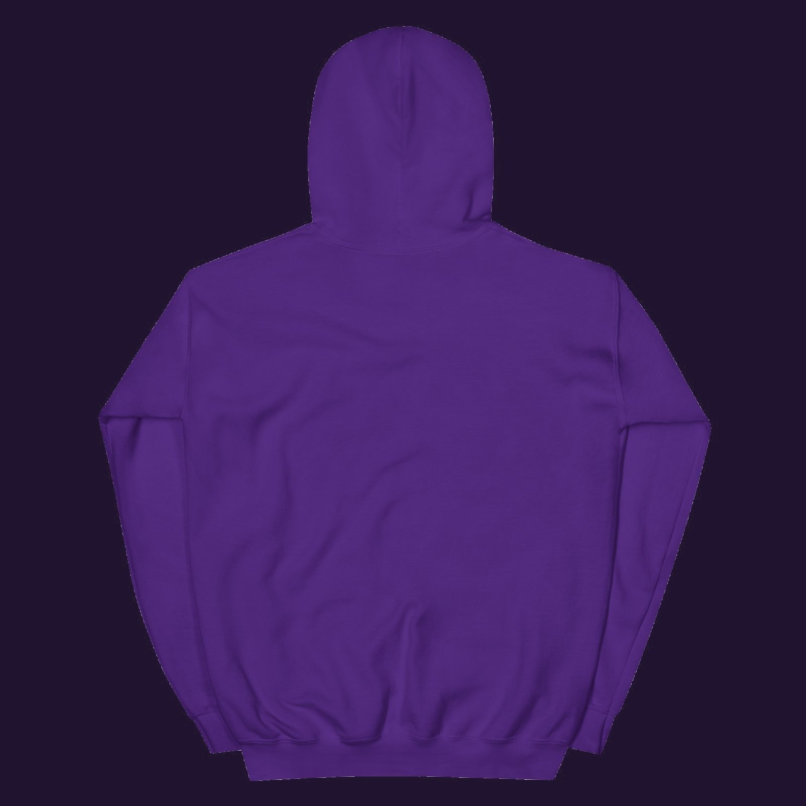 Hypatia of Alexandria Portrait Hoodie